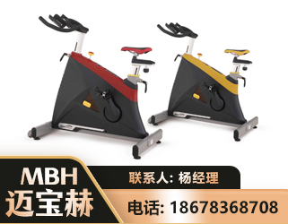 保山商用动感单车