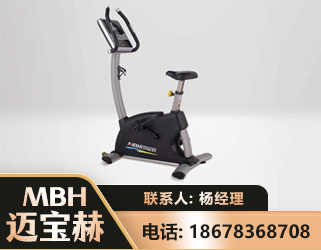 保山立式健身车